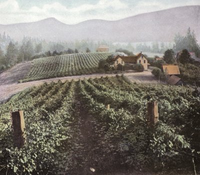 Oregon: Agricoltura diversificata nella Willamette Valley da American Photographer (after)