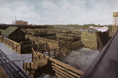 Oregon: Portland Union Stock Yards da American Photographer (after)