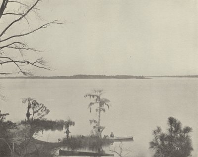Fiume Pamlico, Carolina del Nord da American Photographer (after)