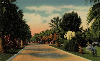Phoenix, Arizona: Country Club Park da American Photographer (after)