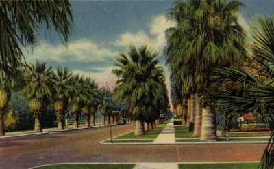 Phoenix, Arizona: North Central Avenue (foto) da American Photographer (after)