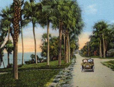 Riverside Drive, Fort Pierce, Florida da American Photographer (after)