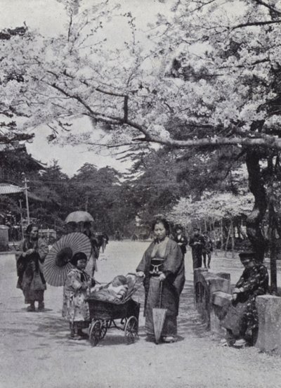 Sotto i fiori di ciliegio nel Parco Shiba, Tokio da American Photographer (after)