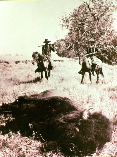 Cacciatori di Bisonte Americano da American Photographer