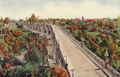 Ponte Arroyo Seco, Pasadena (foto a colori) da American Photographer