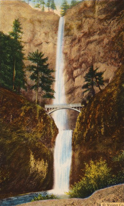 Ponte Benson alle cascate Multnomah (foto a colori) da American Photographer