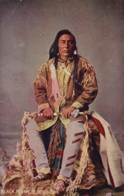 Piuma Nera, Indiano del Sangue (foto) da American Photographer