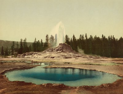 Castello Geyser, Parco Nazionale di Yellowstone da American Photographer