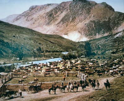 Ranch di bestiame, Colorado da American Photographer
