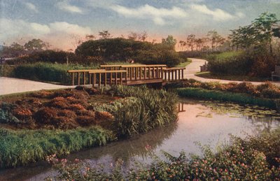 Chicago: Sentieri tortuosi e ponti pedonali nella nuova sezione di Humboldt Park, North West Side (foto a colori) da American Photographer