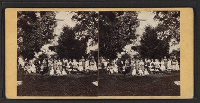 Bambini e parco giochi, Comunità di Oneida, Stato di New York, c.1870 da American Photographer