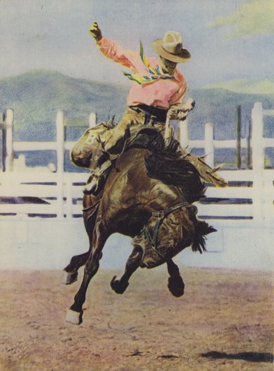 Cowboy che doma un cavallo da American Photographer
