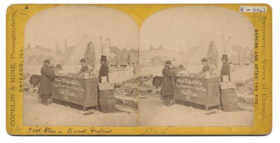 Primo negozio nel distretto bruciato, 1871 da American Photographer