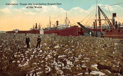 Galveston, Texas, USA, il primo porto di esportazione del cotone al mondo (foto a colori) da American Photographer