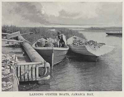 Sbarco delle barche di ostriche, Jamaica Bay da American Photographer