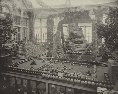 Campana della libertà in arance da American Photographer