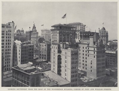 Guardando a sud-ovest dal tetto del Woodbridge Building, angolo di John e William Streets da American Photographer