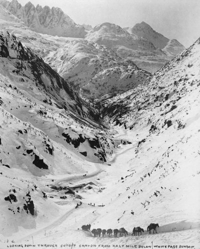 Guardando giù attraverso Cutoff Canyon da mezzo miglio sotto il White Pass Summit, durante la corsa all
