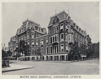 Mount Sinai Hospital, Lexington Avenue da American Photographer