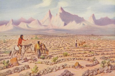 Labirinto mistico degli indiani del Mojave, vicino a Needles, California (foto a colori) da American Photographer