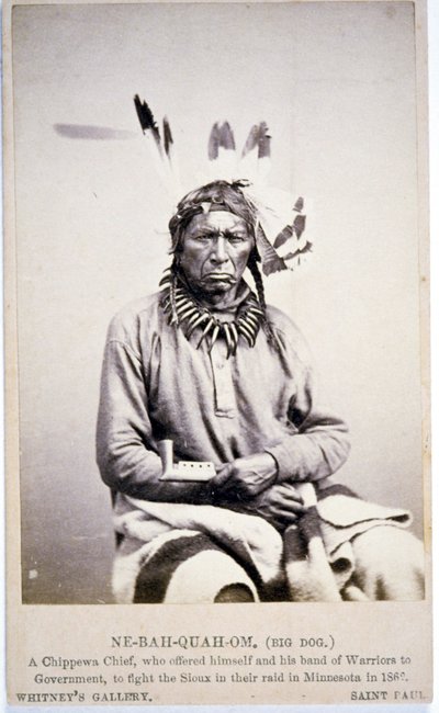 NE-BAH-QUAH-OM, Grande Cane, Capo Chippewa, si offrì di combattere i Sioux in Minnesota da American Photographer