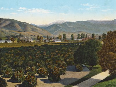 Il "Vecchio Calvo" della Valle di Pomona (foto a colori) da American Photographer
