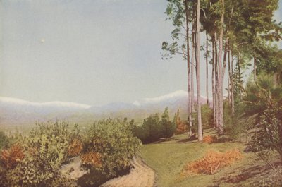 "Old Baldy", da Smiley Heights, California (foto a colori) da American Photographer