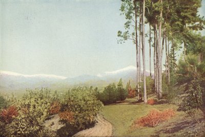Old Baldy, da Smiley Heights, California da American Photographer