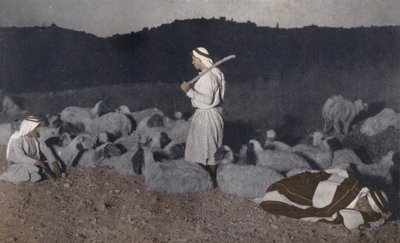Pastori palestinesi osservano il loro gregge di notte (foto a colori) da American Photographer