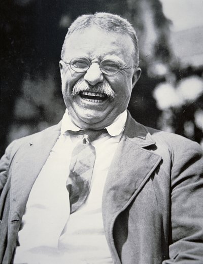 Il presidente Theodore Roosevelt, c.1917 (foto in b/n) da American Photographer