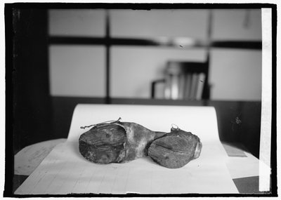 Unità di proibizione (Scarpe da mucca), 28 giugno 1924 da American Photographer
