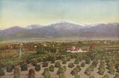 Redlands, California, Vista da Smiley Heights da American Photographer