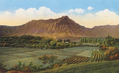 Campi di riso, Oahu (foto a colori) da American Photographer