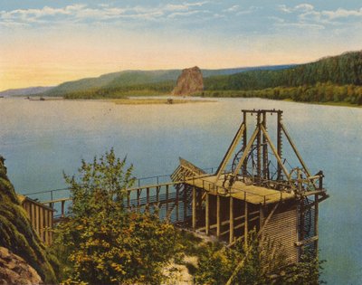Ruota dei salmoni sul fiume Columbia (foto a colori) da American Photographer