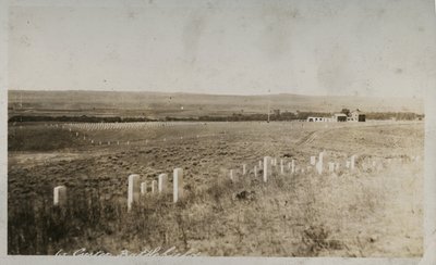 Scena al campo di battaglia di Custer da American Photographer