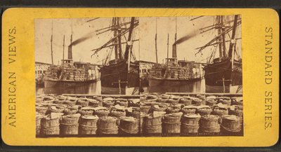 Veduta stereoscopica del piroscafo "Planter", Charleston, S.C. da American Photographer