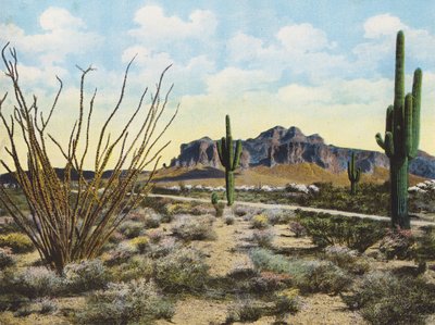 Montagna e deserto di Superstition, "Apache Trail" (foto a colori) da American Photographer