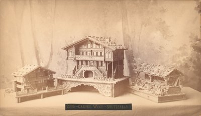 Cottage svizzeri, modelli scolpiti, Esposizione Internazionale del Centenario di Filadelfia, 1876 da American Photographer