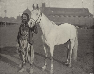 Il cavallo premio dei beduini da American Photographer