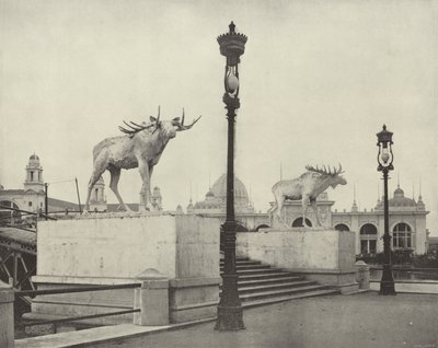 Il ponte dell