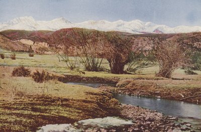 La Snowy Range, vicino a Trinidad, Colorado (foto a colori) da American Photographer