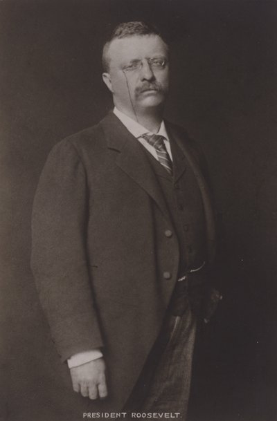 Theodore Roosevelt, 26° Presidente degli Stati Uniti, 1904 da American Photographer