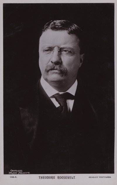 Theodore Roosevelt, politico americano e 26° presidente degli Stati Uniti (foto b/n) da American Photographer