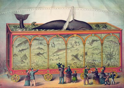Acquario del circo del XIX secolo da American School