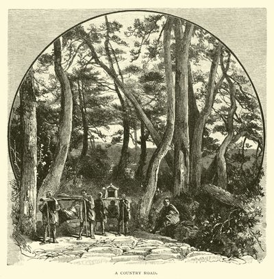 Una strada di campagna da American School