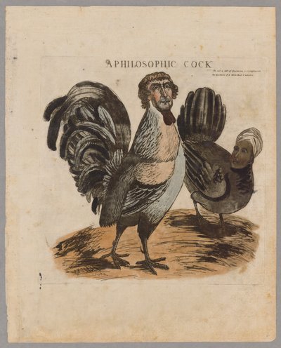 Un Gallo Filosofico, 1804 da American School