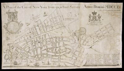 Piano della città di New York da un rilevamento effettivo da American School