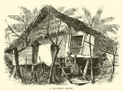 Una casa siamese da American School
