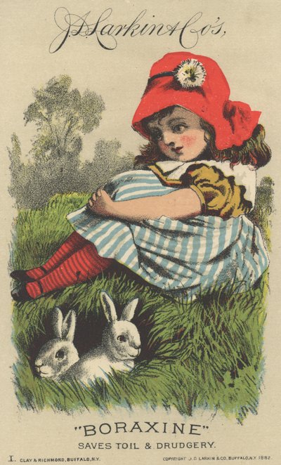 Pubblicità per Boraxine di J. D. Larkin & Co, 1882 da American School