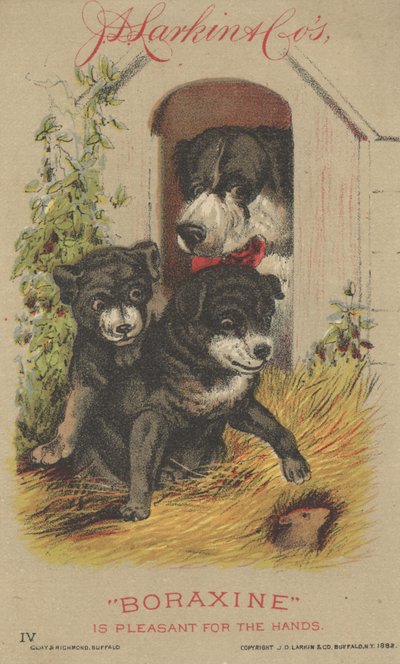 Pubblicità per Boraxine di J. D. Larkin & Co, 1882 da American School